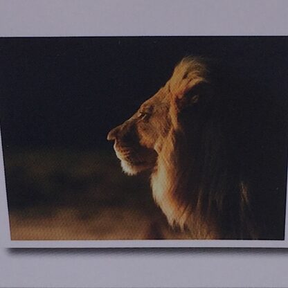 Diamont painting løve med stor manke
