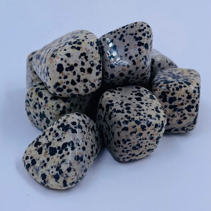 Dalmatiner sten Jaspis glæde Samhørighed Åbner op for følelser