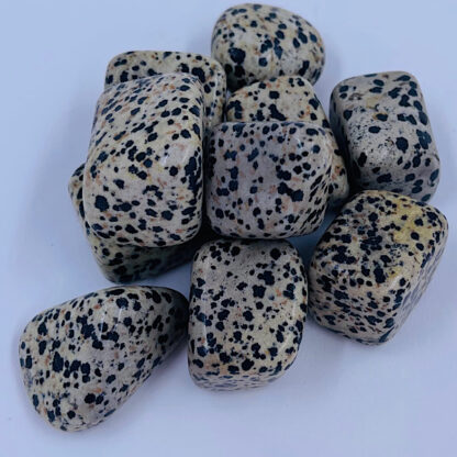 Dalmatiner sten Samhørighed Glæde Åbner for følelser Stjernetegn Tyr Vandmanden