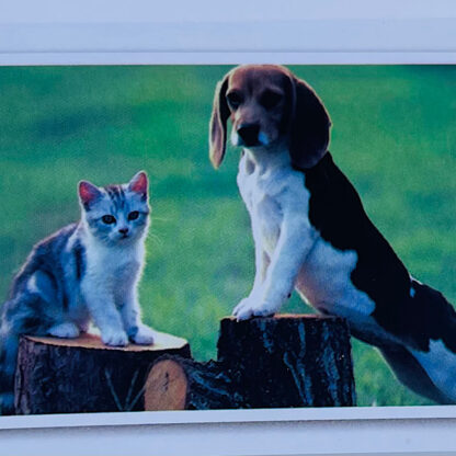 Beagle hund med kattekilling Diamond Painting 35x45 cm Diamond Art