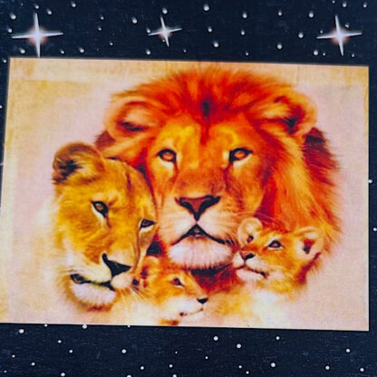 Løvefamilie med unger Diamond painting 35x45 cm Diamond Art
