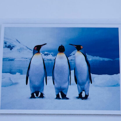 Pingviner på Sydpolen Diamond Painting 35x45 cm Diamond Art