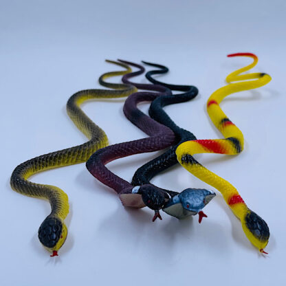 Konge Kobra Slange Gift Slange Krybdyr Små Gaver