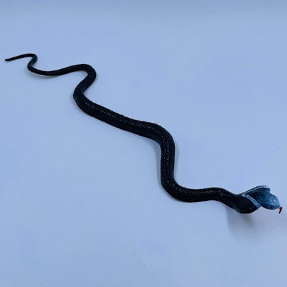 Slange Konge Kobra sort Krybdyr Giftig slange Små gaver